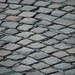Florence Stone Photo 26