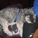Cindy Bender Photo 10