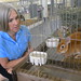 Becky Lane Photo 11