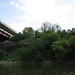 Paul Weisman Photo 15