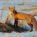 Michael Hooks Photo 26