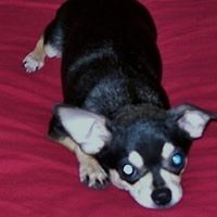 Debra Samuels Photo 30