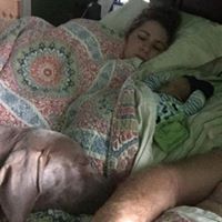 Laine Harper Photo 8