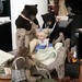 Michelle Bradshaw Photo 10