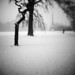 Diana Frost Photo 12