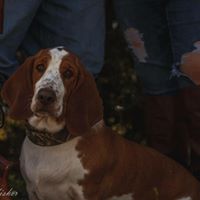 Heather Kunkel Photo 13