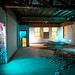 Thomas Ellis Photo 45