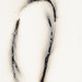 Matthew Stromberg Photo 12