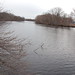 Charles River Photo 19