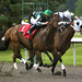 Pat Lang Photo 24