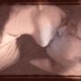 Robert Duff Photo 17