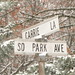 Carrie Lane Photo 14