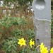 Everett Stone Photo 6