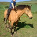 Bobby Wilson Photo 7