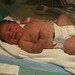 Angelo Colon Photo 15