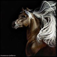 Roberta Altman Photo 3
