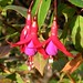 Jeri Flowers Photo 7