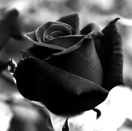 Kim Winters Photo 42