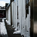 David Schwartz Photo 40