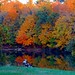 Donald Bittner Photo 11