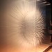 David Spriggs Photo 14
