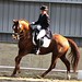 Carolyn Hansen Photo 12