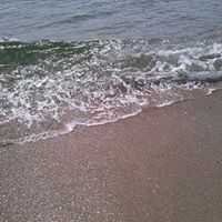 Susan Waldrop Photo 29