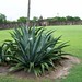 Guadalupe Garrison Photo 3