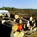 Jim Robeson Photo 10