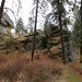 John Shields Photo 45