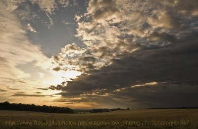 Dawn Colburn Photo 17