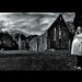 Patricia Abbey Photo 17