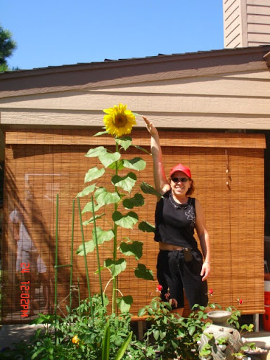 Susan Scott Photo 46