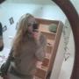 Diana Andersen Photo 29
