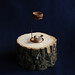 Ruth Bird Photo 32