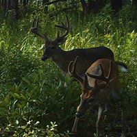 Bob Beebe Photo 36