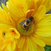 Debbie Hatley Photo 28