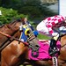 David Pacheco Photo 30