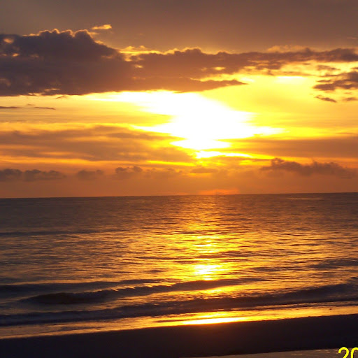 Dina Robinson Photo 34