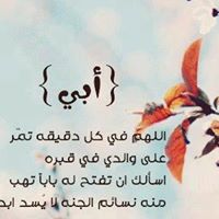 Mohamed Nassar Photo 27