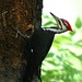 Kathleen Wilkie Photo 8