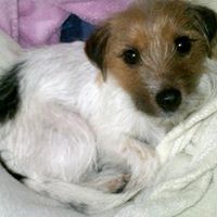 Lola Walker Photo 13
