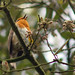 Robin Fuller Photo 14