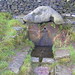 Robin Welling Photo 11