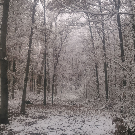 Darin Clements Photo 8
