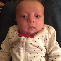 James Cassedy Photo 1