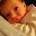 Elizabeth Brooke Photo 39