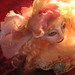 Antionette Young Photo 11