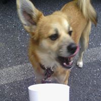 Kathy Fogle Photo 12