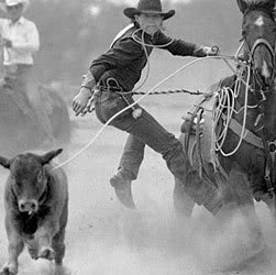Ted Fowler Photo 27
